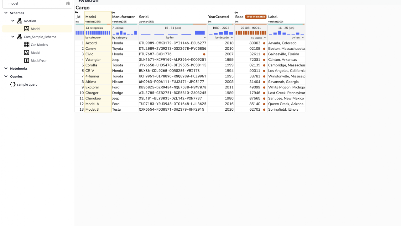 The table viewer showing a mini bar chart of the distribution for each column.